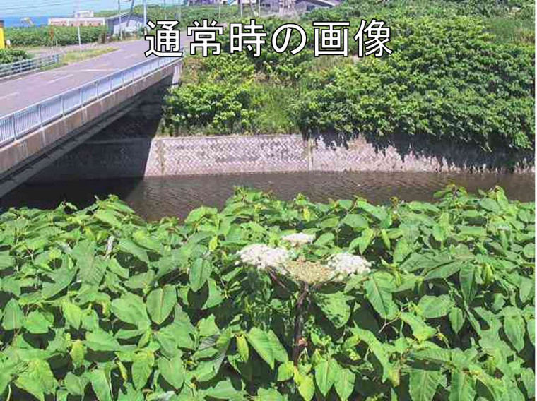 風連別川(通常時)の画像