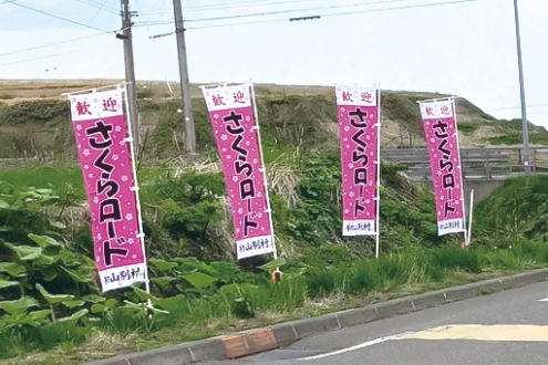 さくらロードののぼり旗の写真