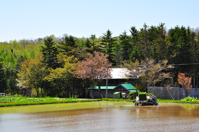初山別村の森林と田んぼの写真