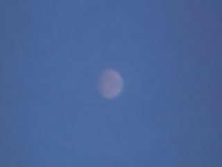 昼間の火星の写真