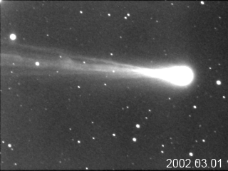 池谷・張彗星の写真
