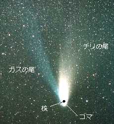 彗星の写真