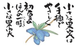 絵手紙の画像2