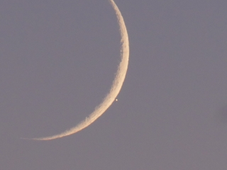 水星食の写真