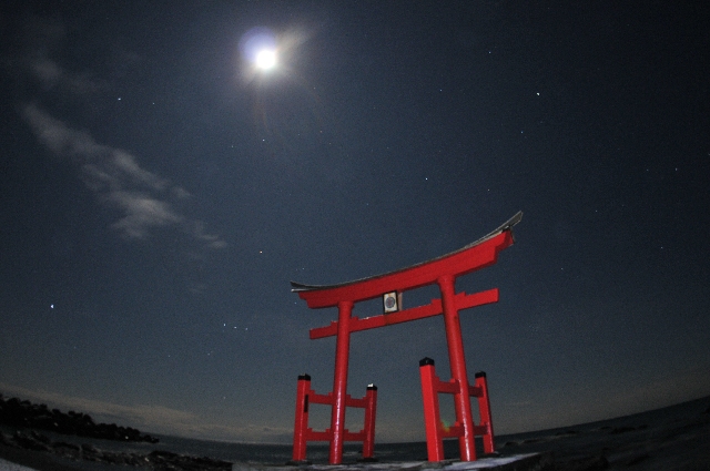 鳥居と星空の写真