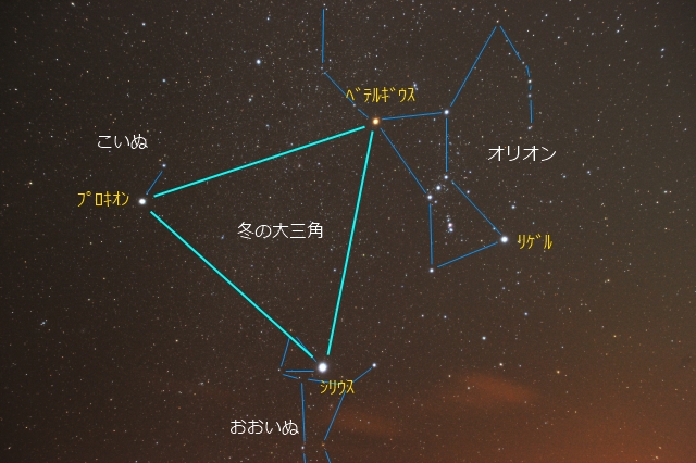 冬の大三角の写真