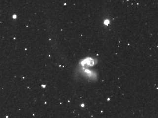 衝突銀河NGC4038の写真