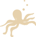 タコ